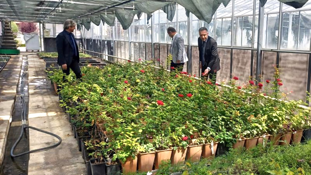 Selçuk Üniversitesinde yıllık ortalama 65 bin bitki üretiliyor